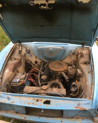 Ford Inny cena 18500 przebieg: 100000, rok produkcji 1965 z Poddębice małe 154